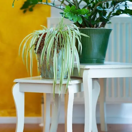 Garden Town Appartement Salzburg